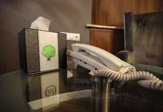 Отель Green Garden Hotel Ереван-3